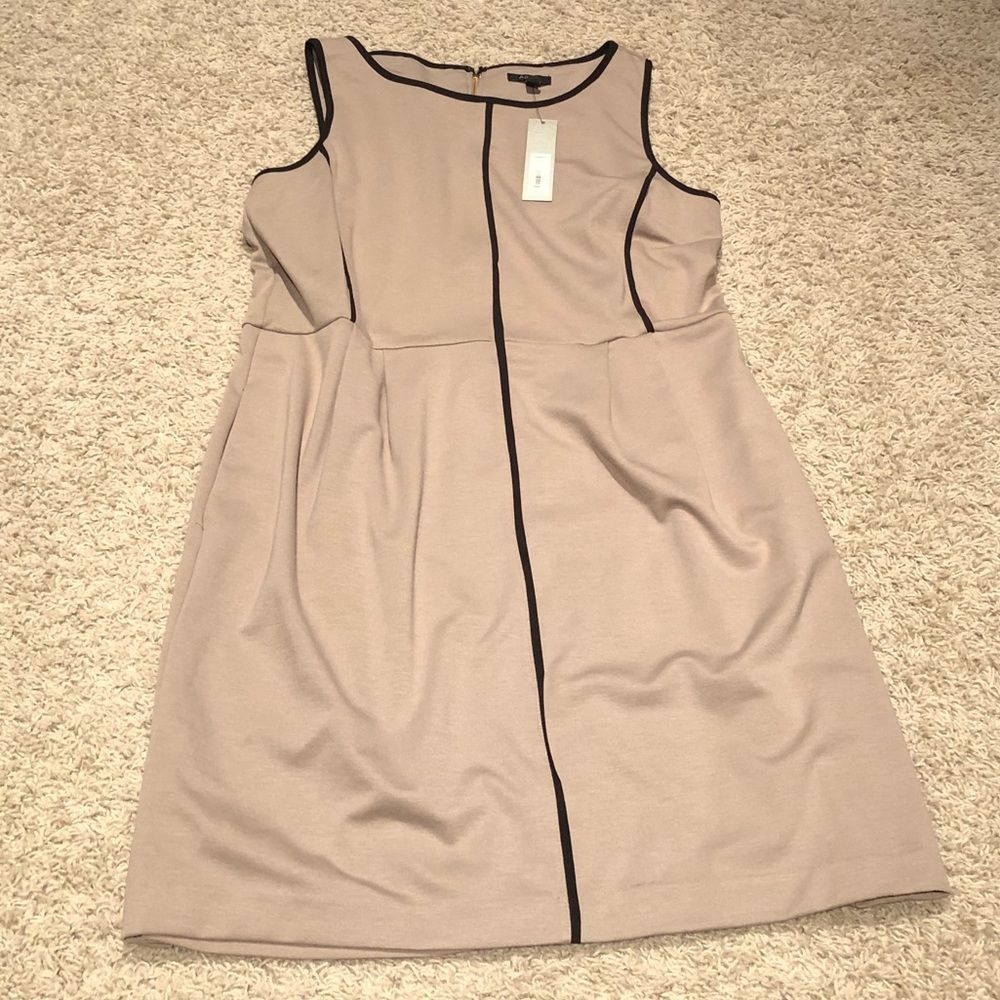 Contrast Piping Dress